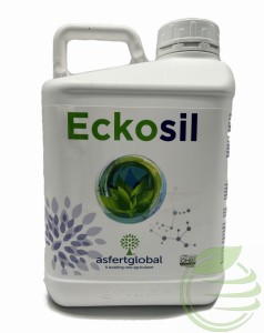 ECKOSIL 5L