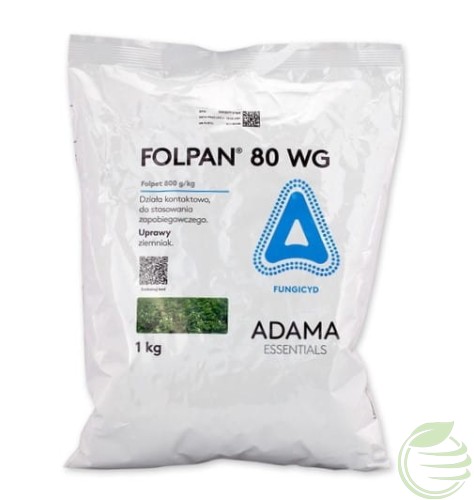 FOLPAN1.jpg