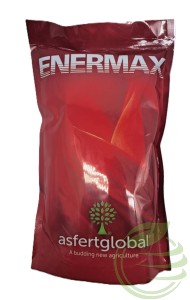 ENERMAX 1KG