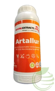 ARTALLUR 1L