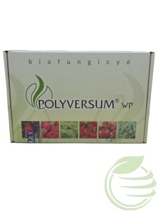 POLYVERSUM WP 50g