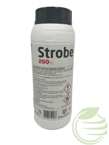 STROBE 250 SC 1L