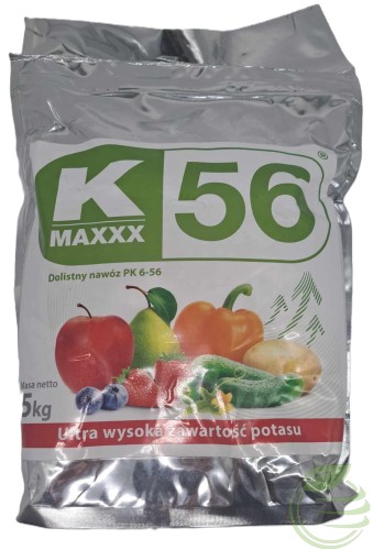 356.jpg