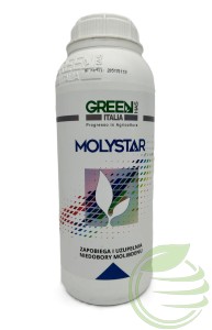 MOLYSTAR 1L