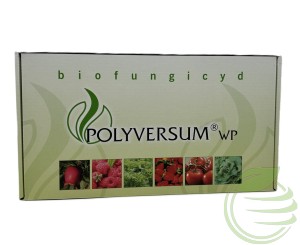 POLYVERSUM WP 300g